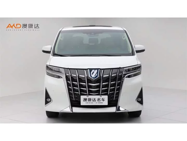 Toyota Elfa