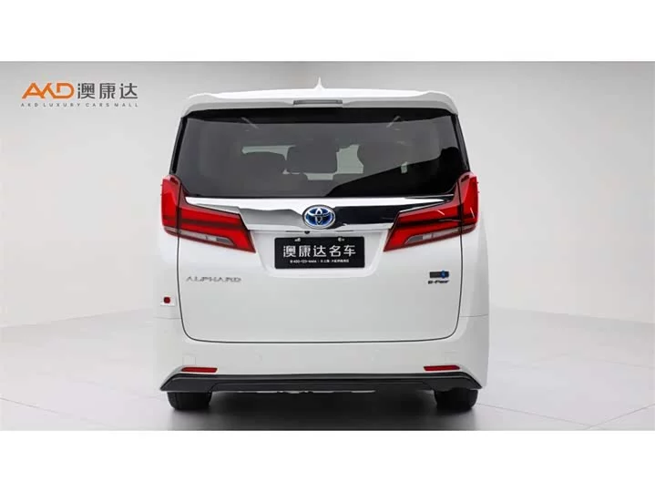 Toyota Elfa