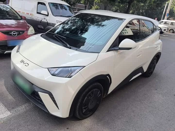 BYD seagull