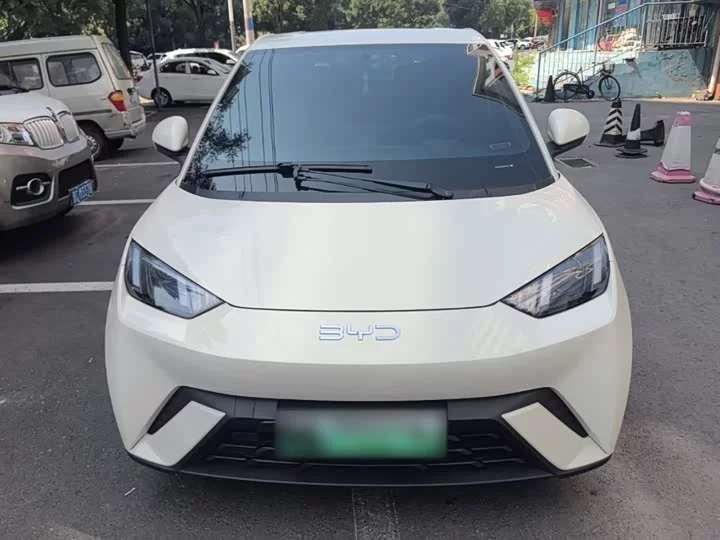 BYD seagull