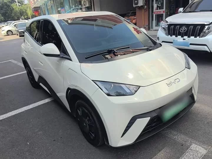BYD seagull