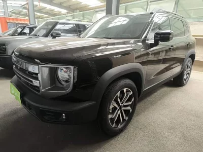 Haval Big Dog DaGou