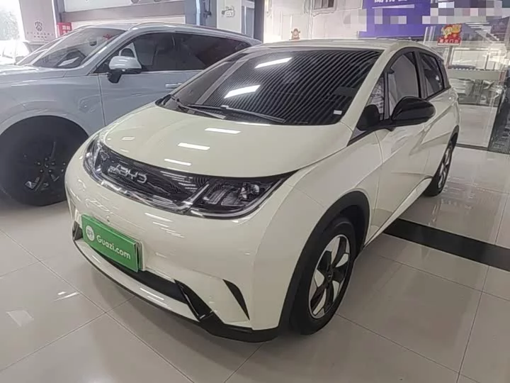BYD dolphin