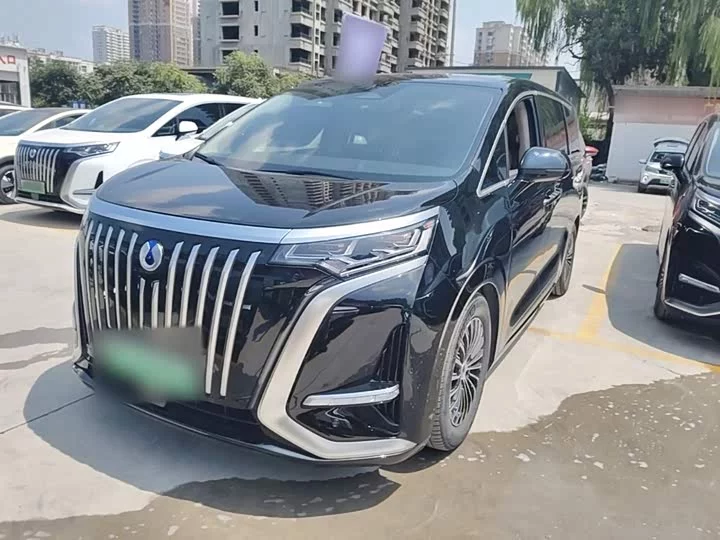 Denza D9