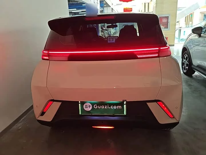 BYD seagull