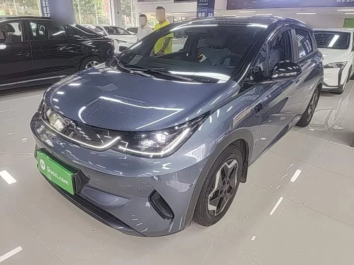 BYD dolphin