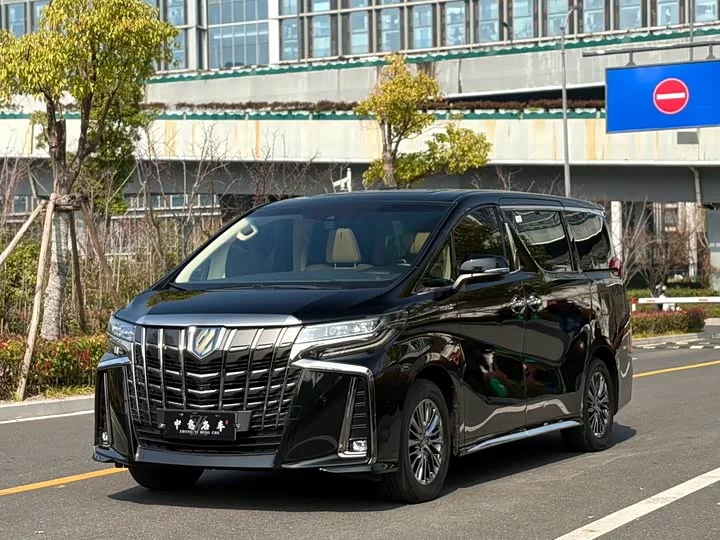 Toyota Elfa