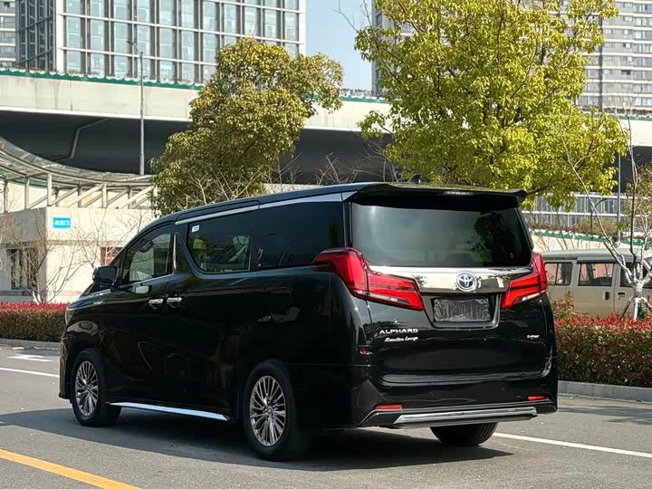 Toyota Elfa