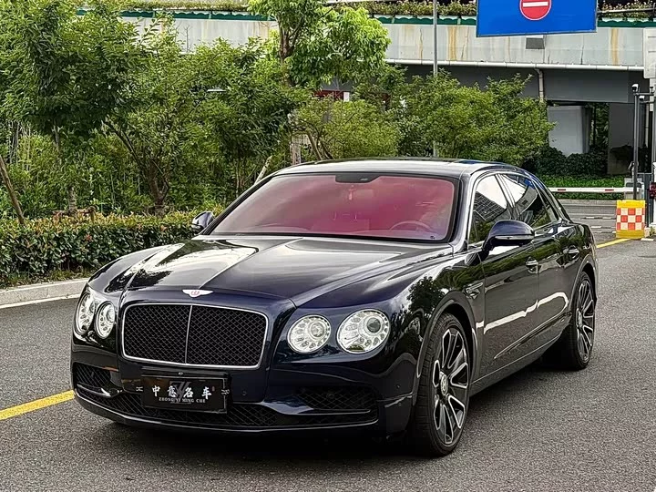 Bentley galloping