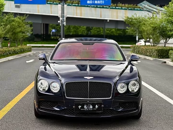 Bentley galloping