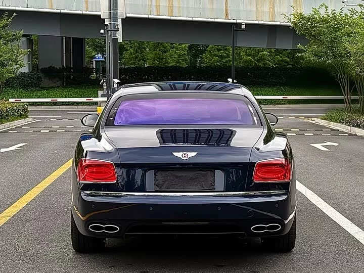 Bentley galloping