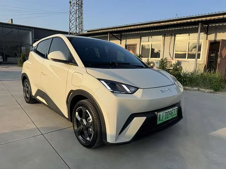 BYD seagull