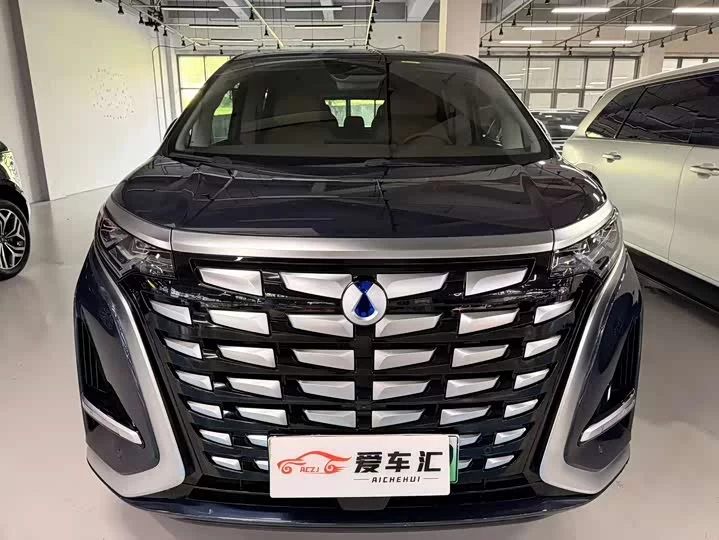 Denza D9