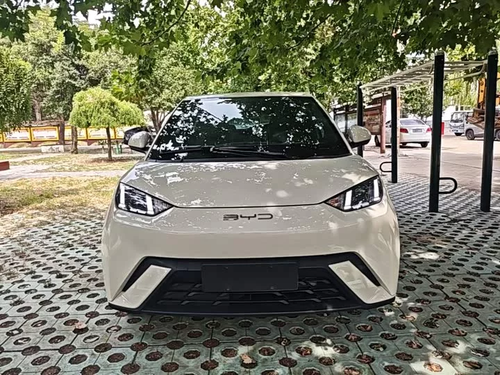 BYD seagull