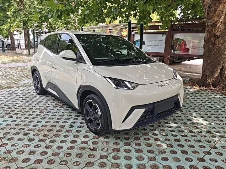 BYD seagull