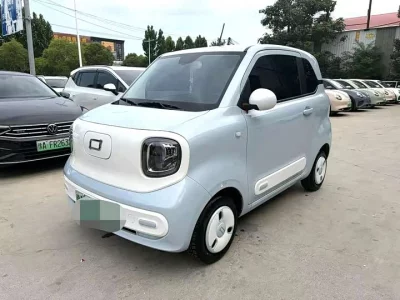 FAW pony