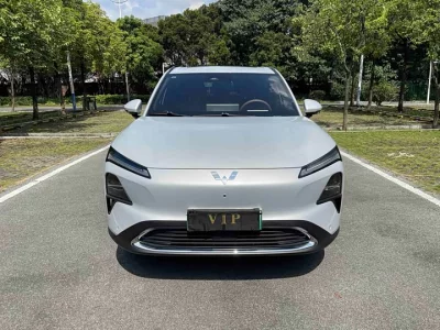 Wuling Xinxing S