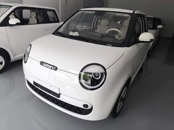 Changan Lumin