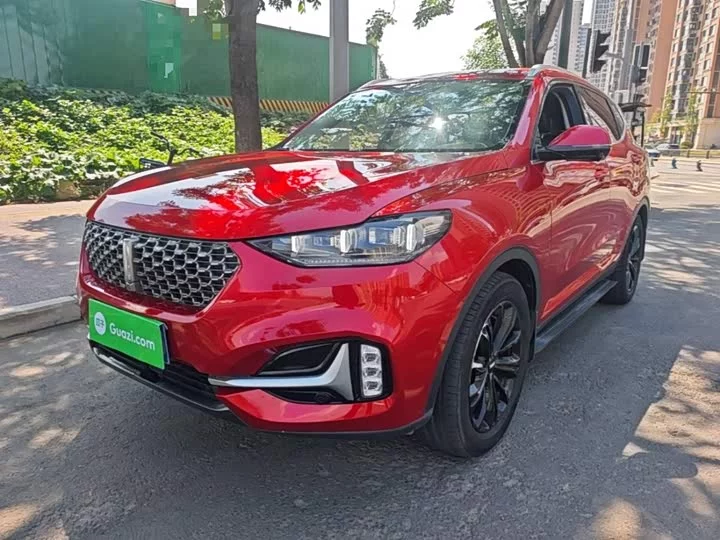 Wey VV6