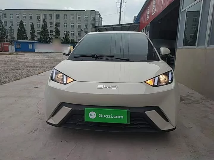 BYD seagull