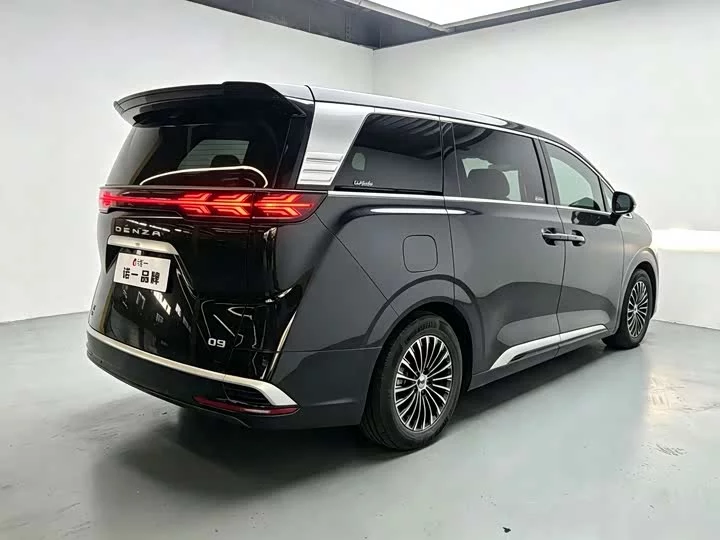 Denza D9