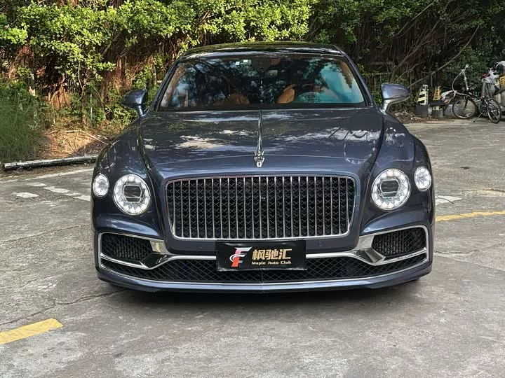Bentley galloping
