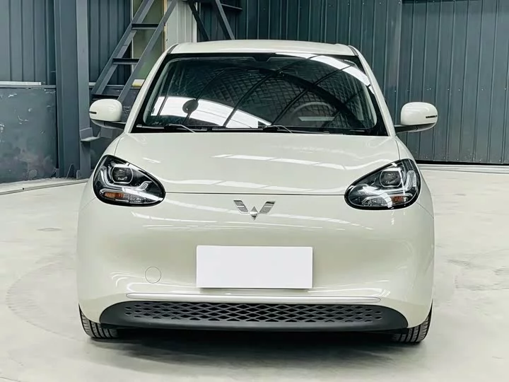 Wuling Bingo