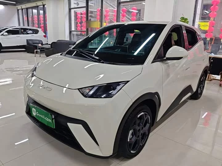 BYD seagull