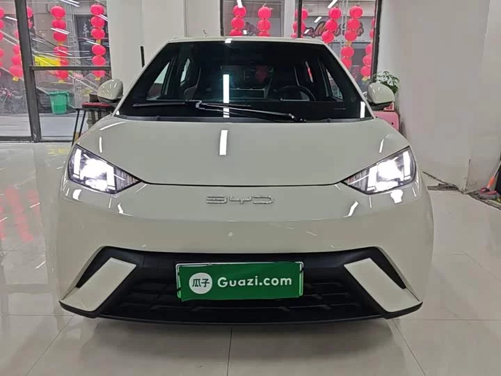 BYD seagull