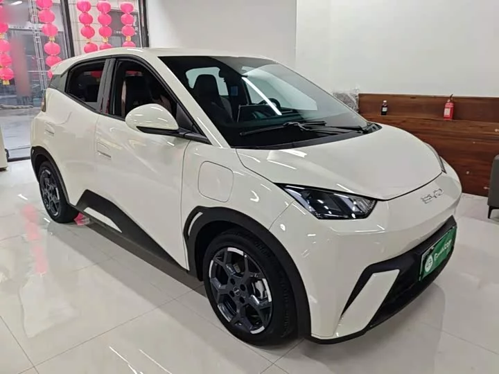 BYD seagull