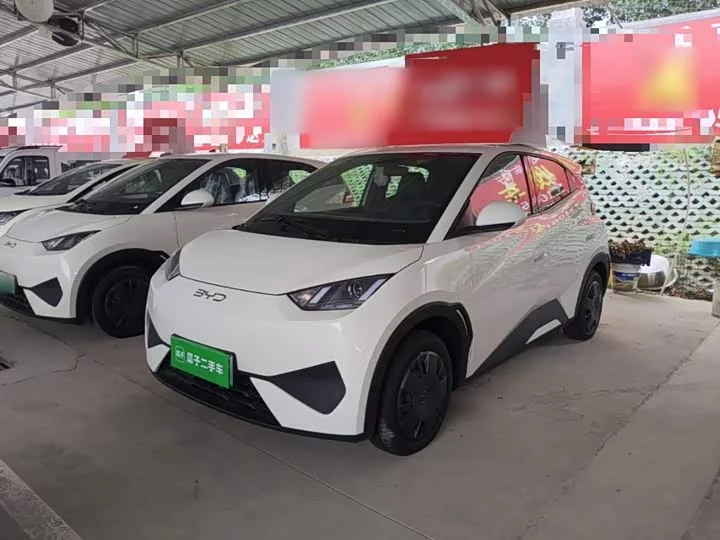 BYD seagull