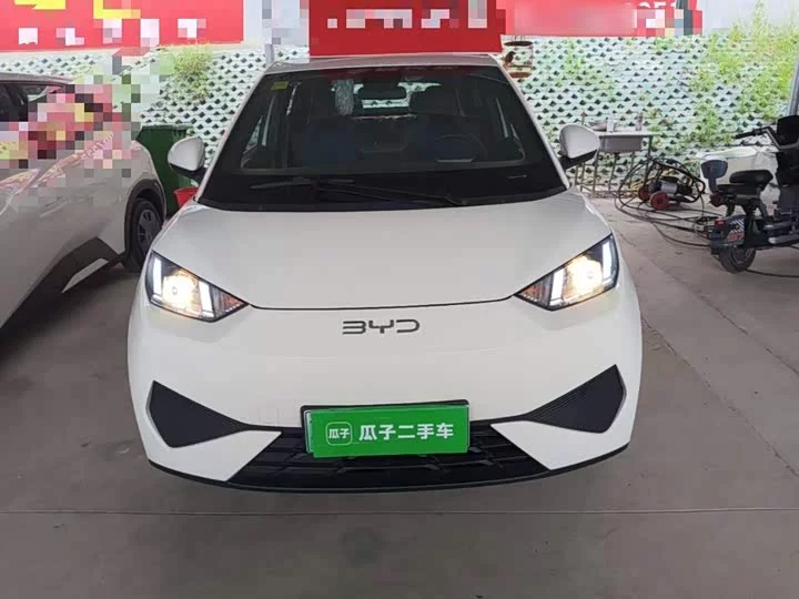BYD seagull