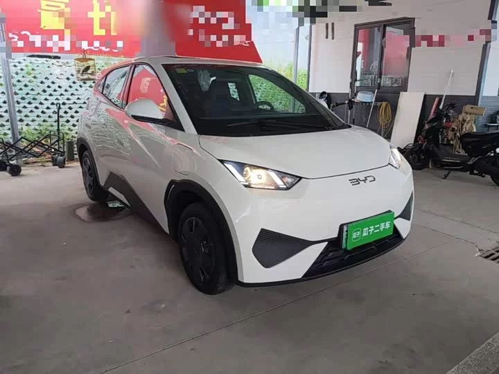 BYD seagull
