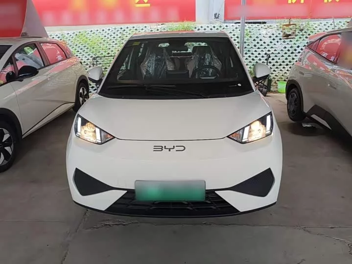 BYD seagull