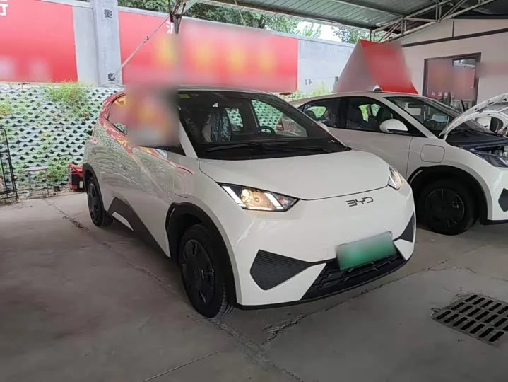 BYD seagull