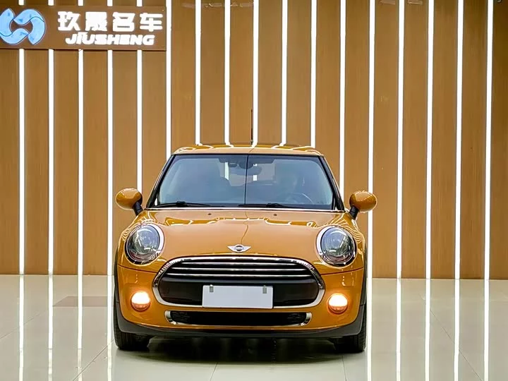 MINI 