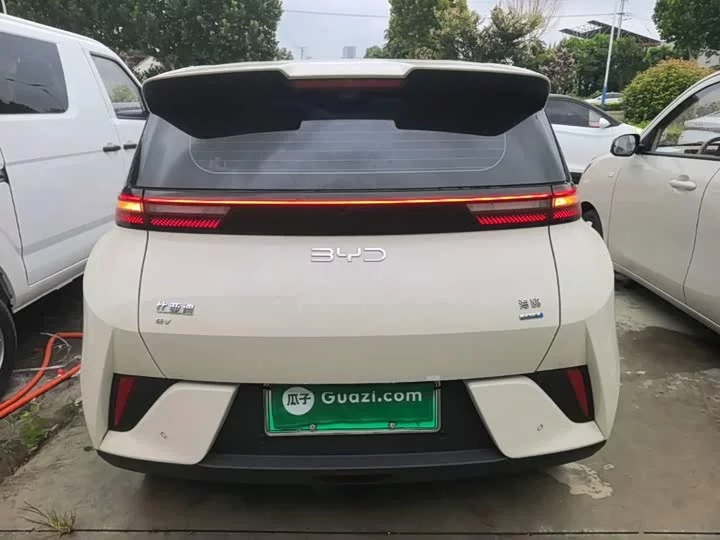 BYD seagull