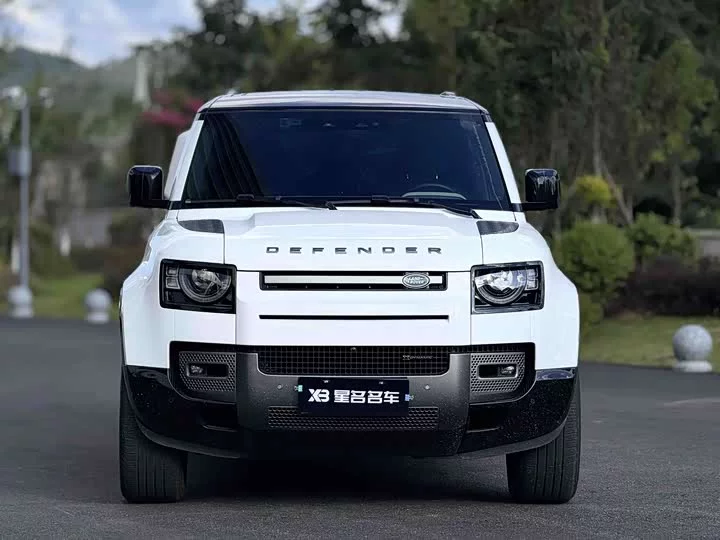 Land Rover guard