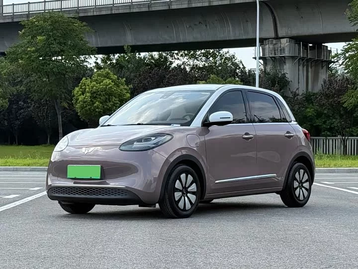 Wuling Bingo