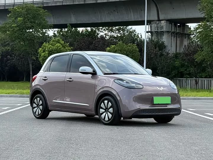 Wuling Bingo