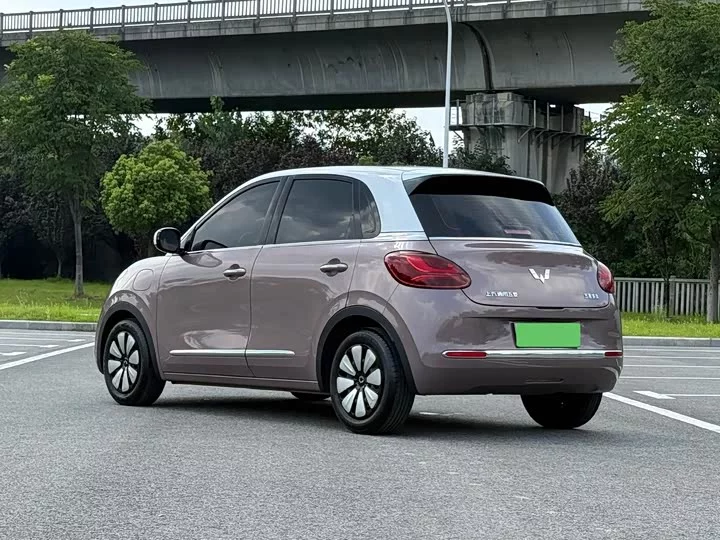 Wuling Bingo