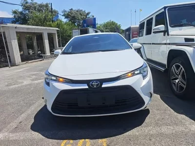 Toyota Lei Ling