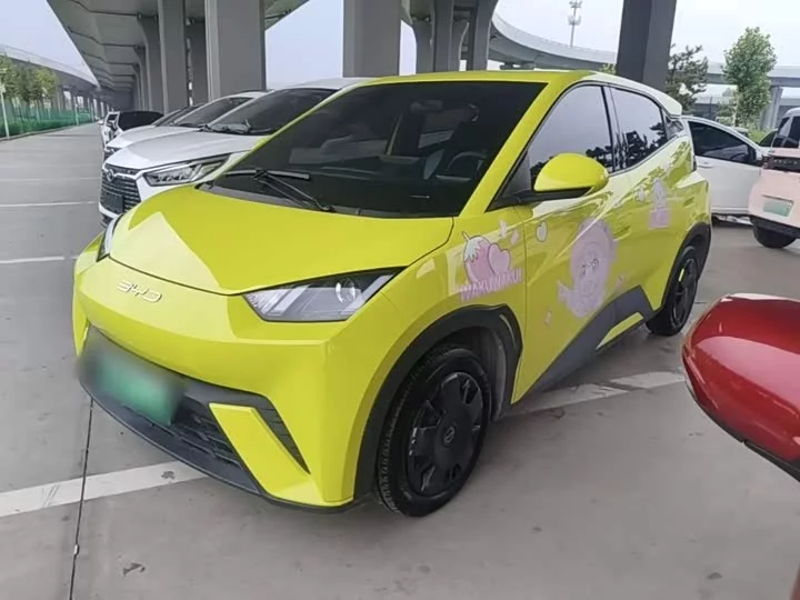 BYD seagull