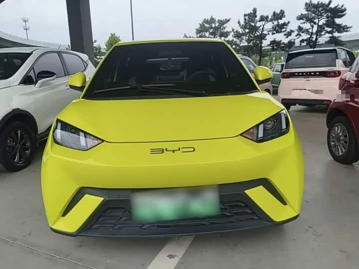 BYD seagull