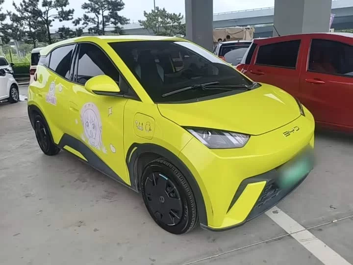 BYD seagull