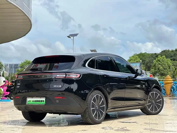 AITO Question Wenjie M5
