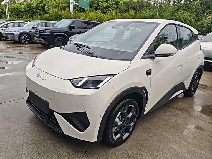 BYD seagull