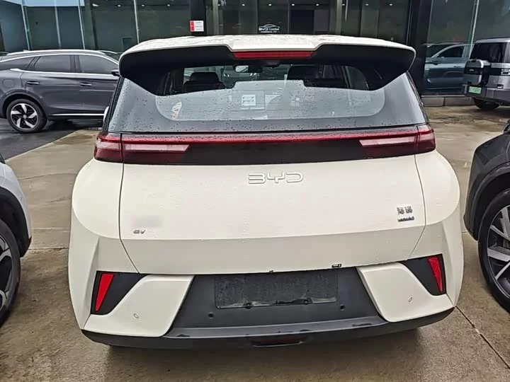 BYD seagull