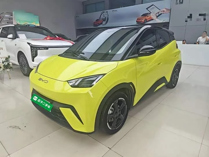 BYD seagull