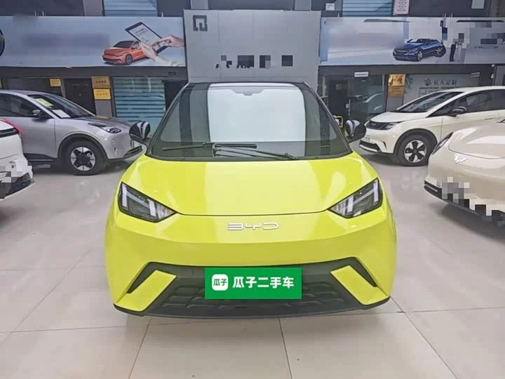 BYD seagull